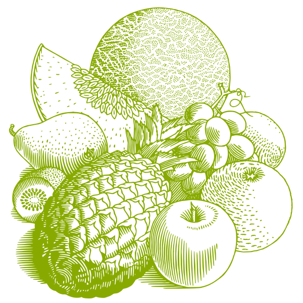 SVG Various fruits