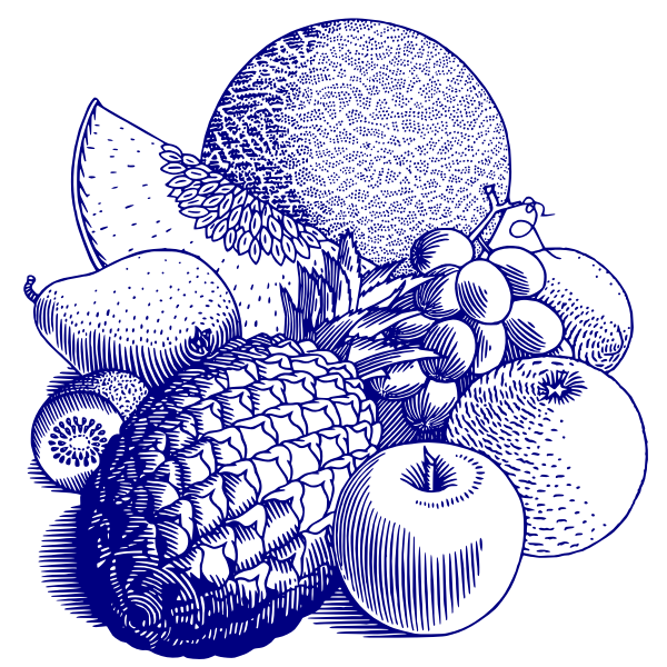 SVG Various fruits illustration
