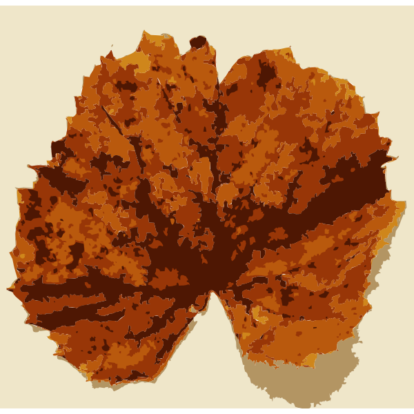 SVG Various Missouri tree leaves 2