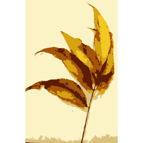 SVG Various Missouri tree leaves 3
