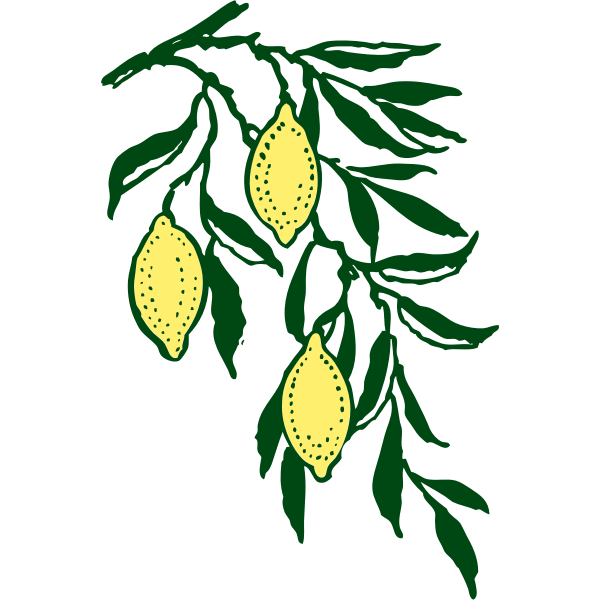 SVG Vector clip art lemon branch