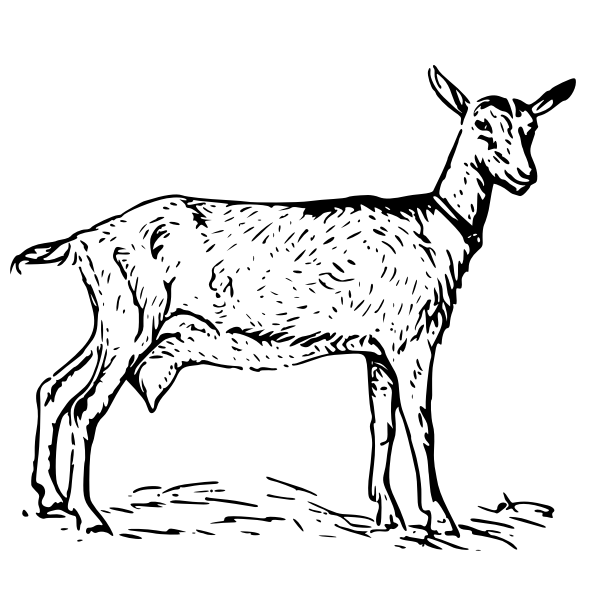 SVG Vector clip art of a goat