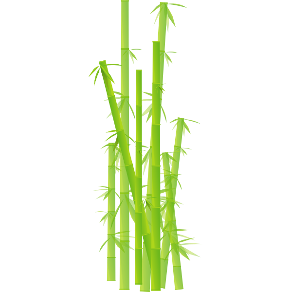 SVG Vector clip art of bamboo stalks