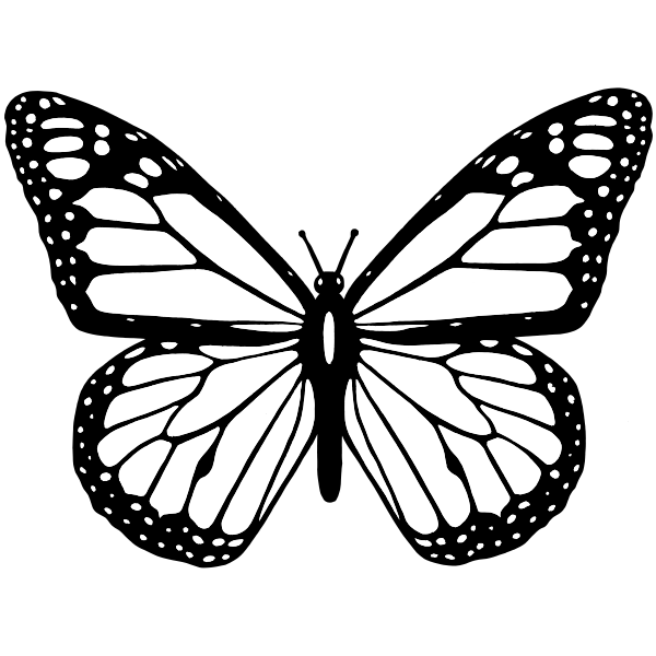 SVG Vector clip art of black and white butterfly with wide spread wings