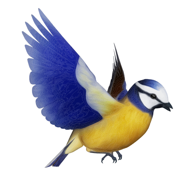 SVG Vector clip art of colorful bird