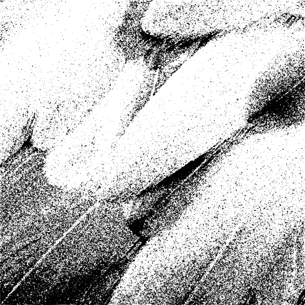 SVG Vector clip art of feather trace in black and white