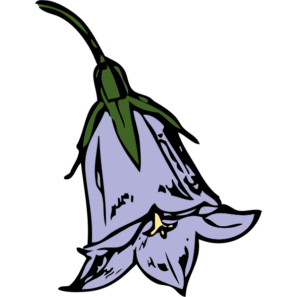 SVG Vector clip art of harebell flower