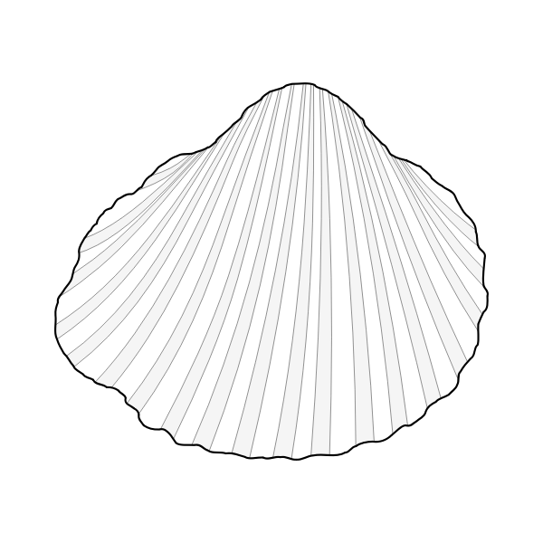 SVG Vector clip art of lagoon cockle