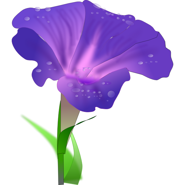 SVG Vector clip art of orchis