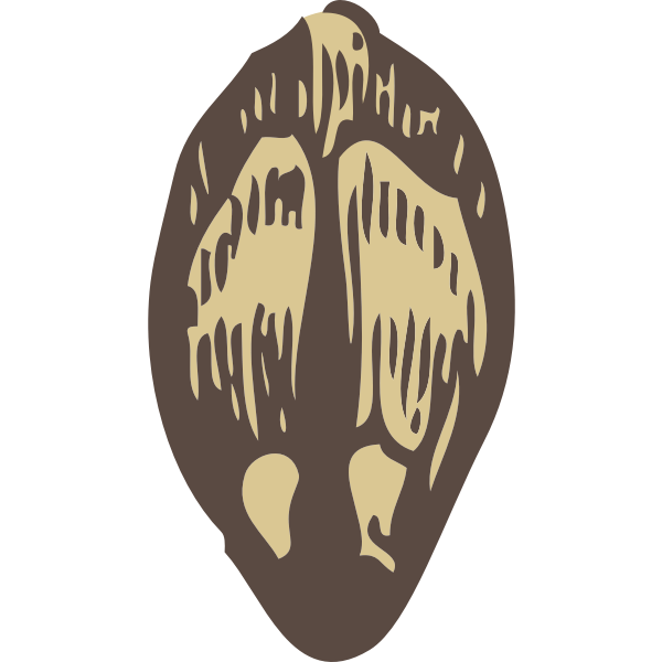 SVG Vector clip art of pine seed