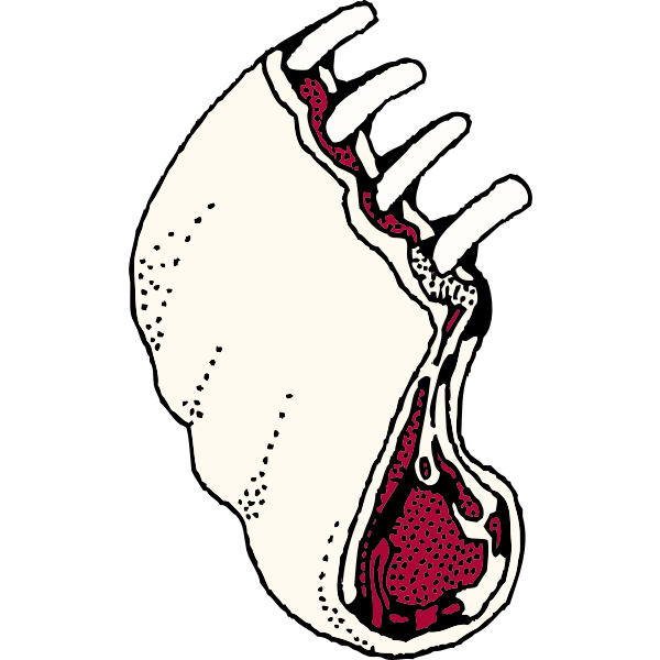 SVG Vector clip art of pork loin