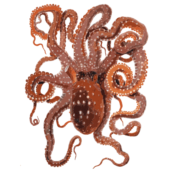 SVG Vector clip art of red octopus