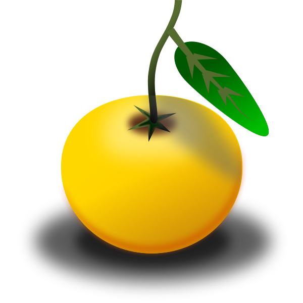 SVG Vector clip art of ripe orange in color