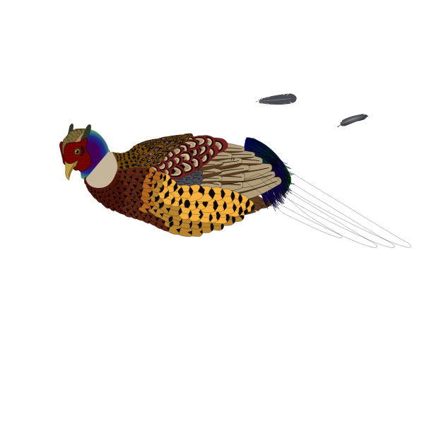 SVG Vector clip art of unfinished pheasant