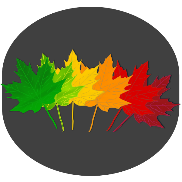 SVG Vector drawing maple leaves on gray background