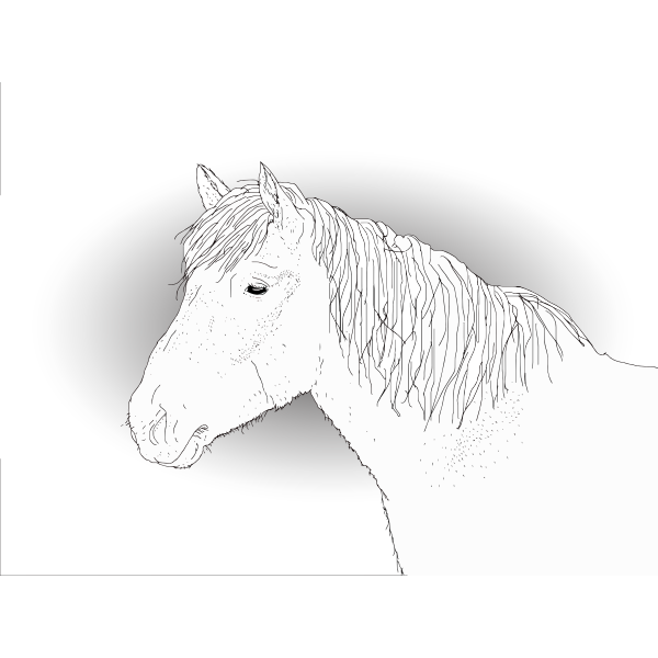 SVG Vector drawing of a horse