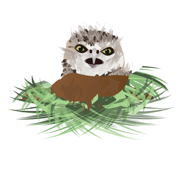 SVG Vector drawing of burrowing owl in its den