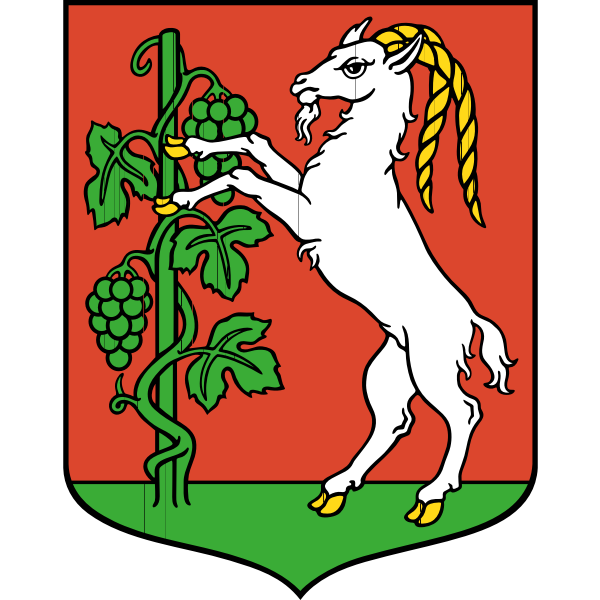 SVG Vector drawing of coat of arms of Lublin City