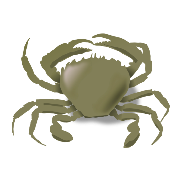 SVG Vector drawing of crab