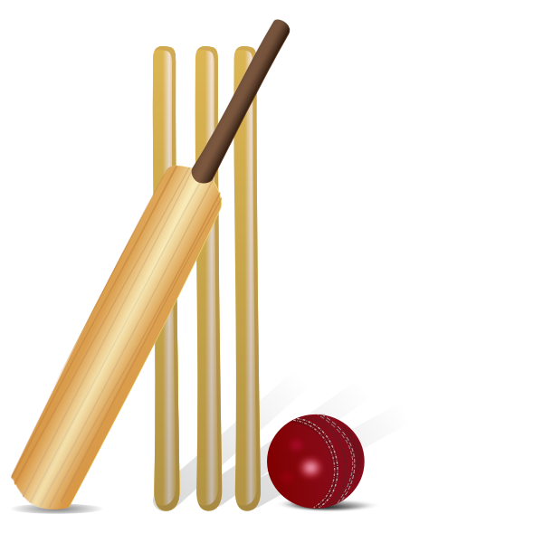 SVG Vector drawing of cricket equipment
