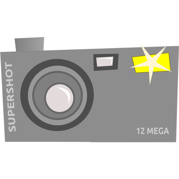 SVG Vector drawing of fancy camera icon