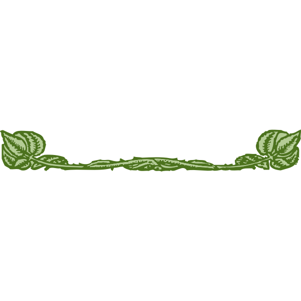 SVG Vector drawing of green leaves border decoration