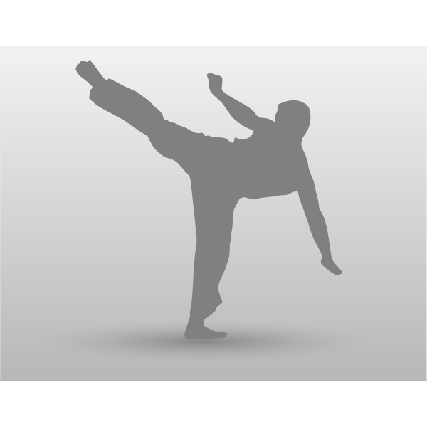 SVG Vector drawing of karate man with leg up