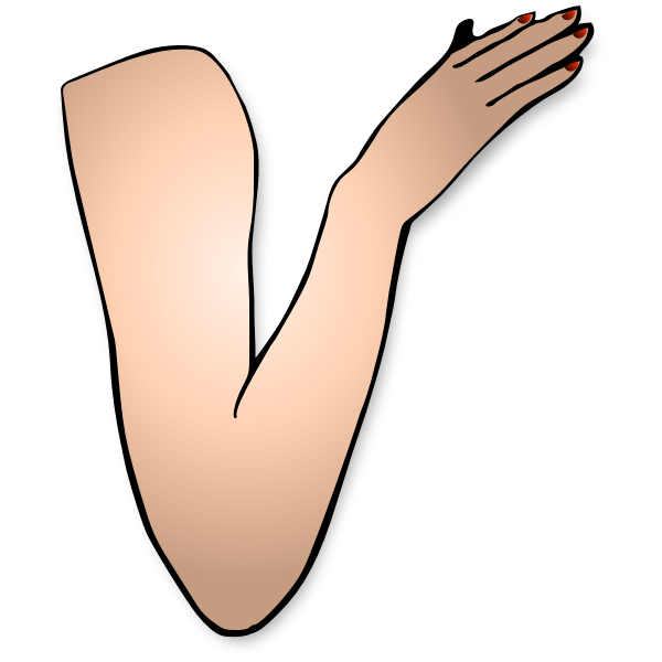 SVG Vector drawing of lady arm bent at elbow