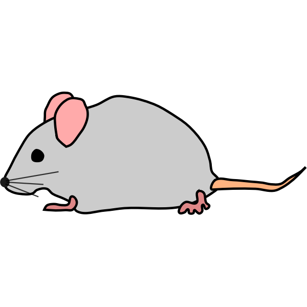 SVG Vector drawing of mouse with pink ears