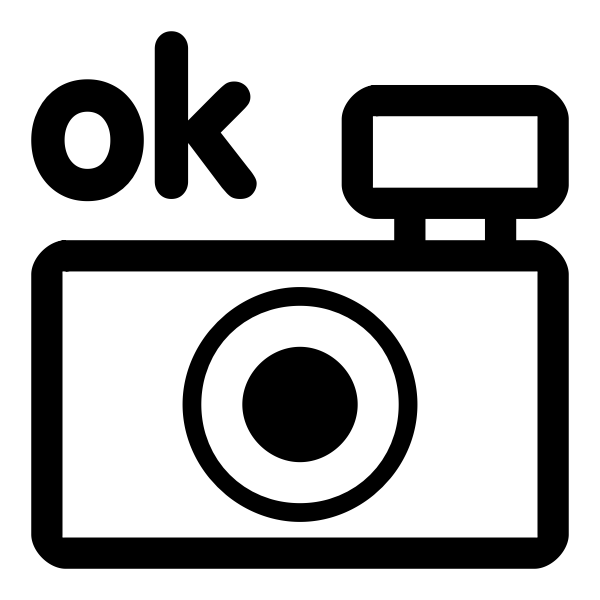 SVG Vector drawing of photo camera black and white OK icon
