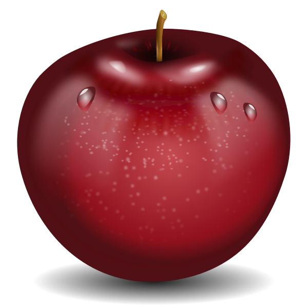 SVG Vector drawing of photorealistic red wet apple