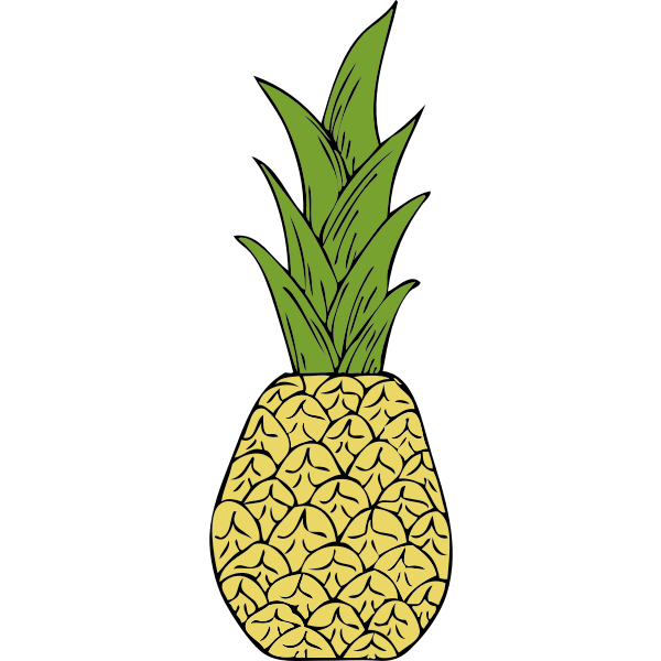 SVG Vector drawing of pineapple