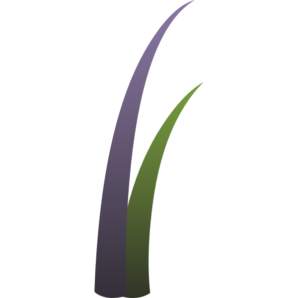 SVG Vector drawing of purple and green llmenskie plant