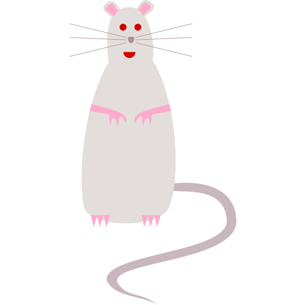 SVG Vector drawing of rat - cartoon style