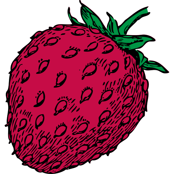 SVG Vector drawing of red strawberry fruit