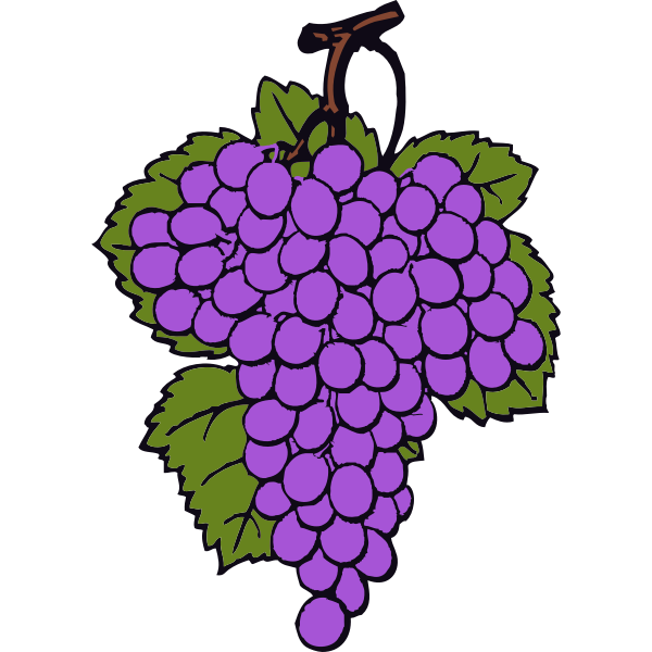 SVG Vector drawing of ripe grapes