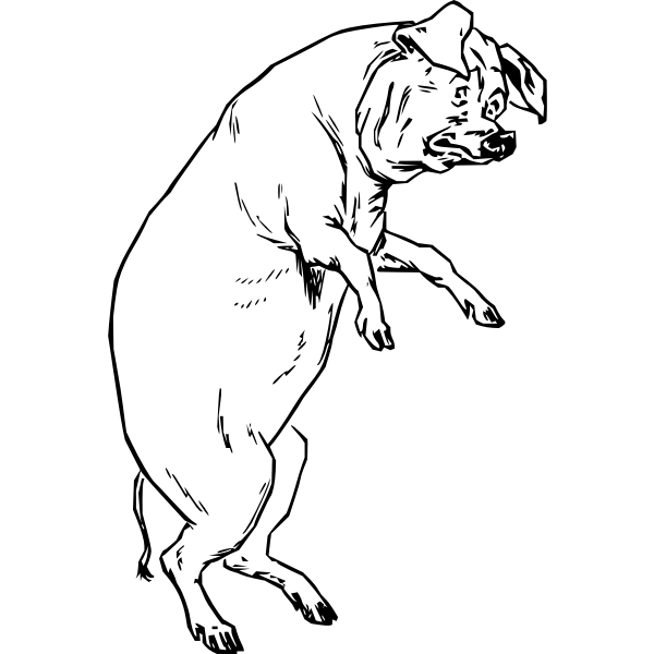 SVG Vector drawing of scared pig