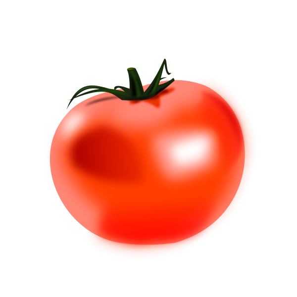 SVG Vector drawing of shiny tomato