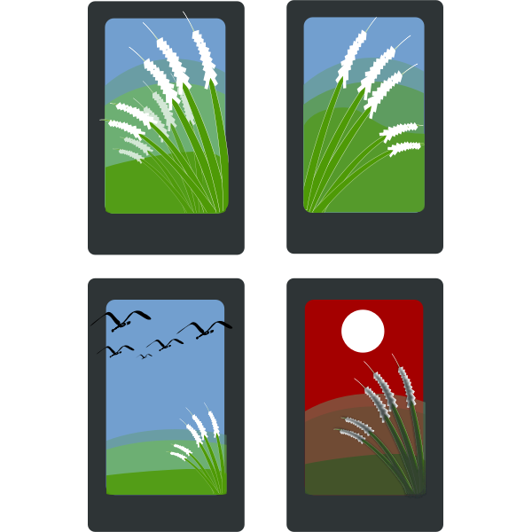 SVG Vector drawing of summer idyll on four cards