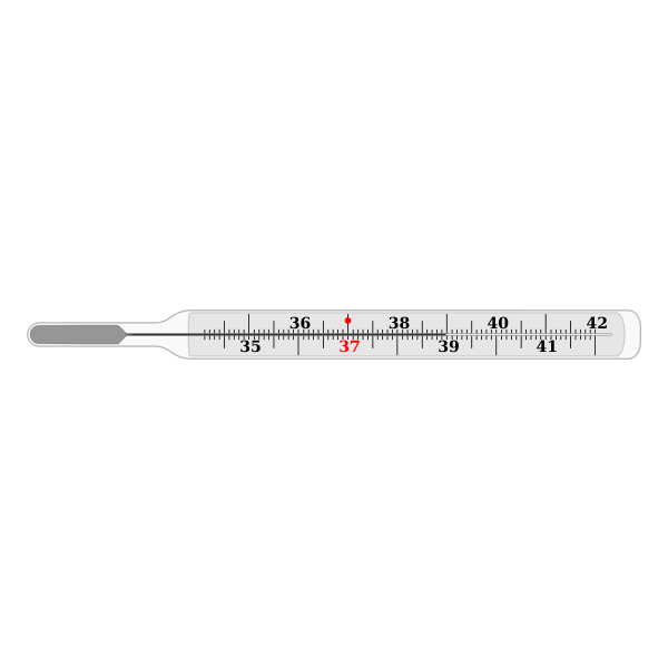SVG Vector drawing of traditional thermometer