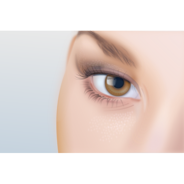 SVG Vector drawing of woman039s eye with extreme detail