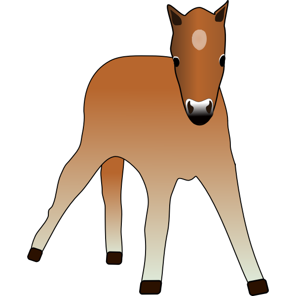 SVG Vector drawing of young foal