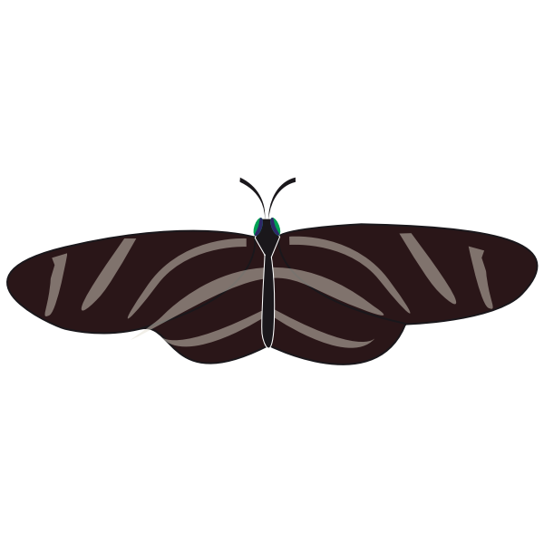 SVG Vector drawing of zebra butterfly