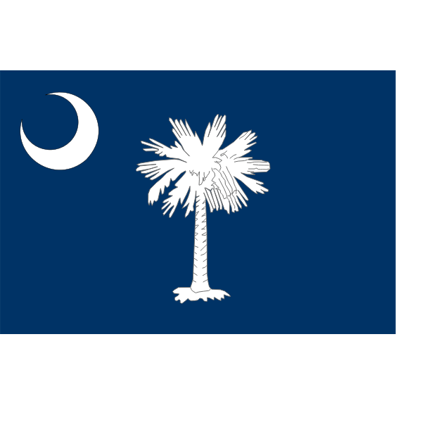 SVG Vector flag of South Carolina