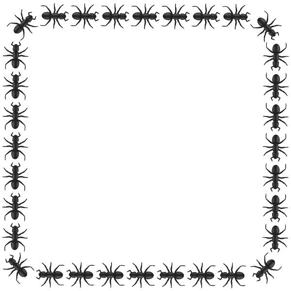 SVG Vector graphics of ant pattern square border