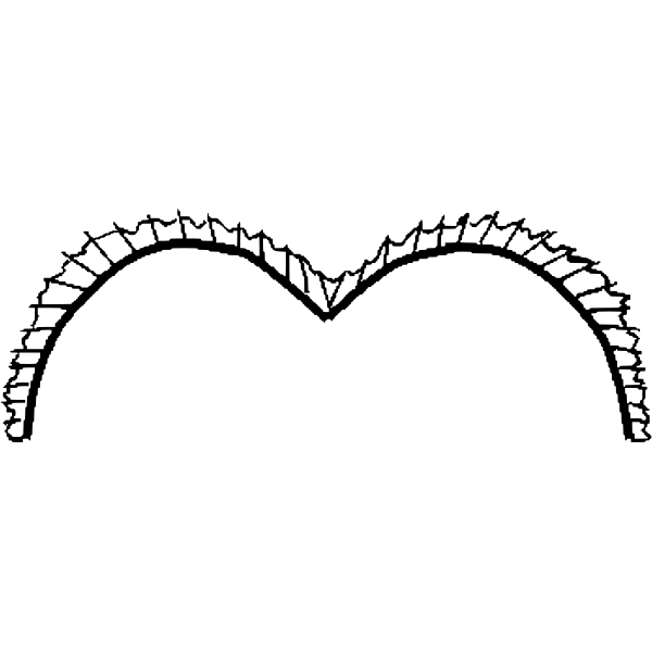 SVG Vector graphics of ballerina white bodice lace
