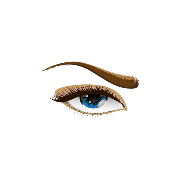 SVG Vector graphics of brown eyebrow eye