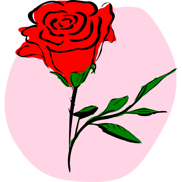 SVG Vector graphics of coloured rose