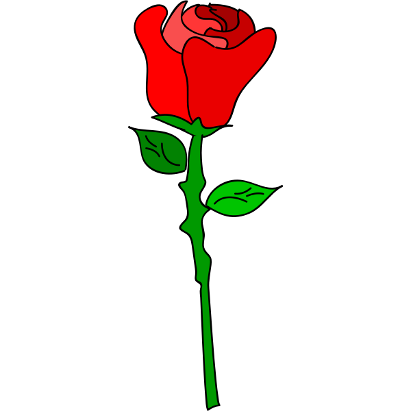 SVG Vector graphics of coloured rose