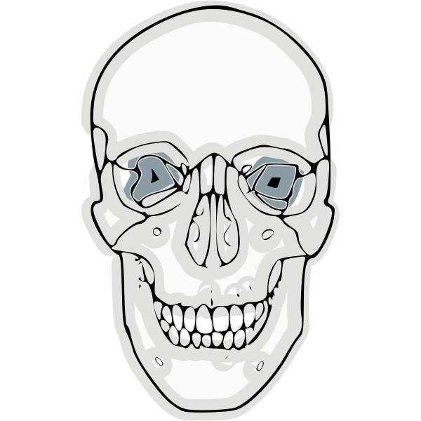 SVG Vector graphics of digitalized human skull